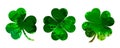 Set of green watercolor four-leaf clovers. Happy St. Patrick`s Day - vector Royalty Free Stock Photo