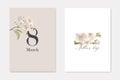 Set of Greeting Cards for International 8 March Holiday and Mother`s Day. Elegant Composition with White Cherry Flowers Royalty Free Stock Photo