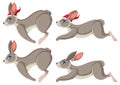 Set of grey rabbits in different poses