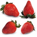 Set, group, collection strawberry realistic 3d vector. Set raw strawberry fruit. Whole strawberry isolated. Concept of