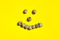 Set of group quail eggs form a smile face on a yellow background