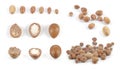 Set of groups of argan nuts on white background. Royalty Free Stock Photo