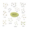 Set of growing seeds - illustration. Microgreens in the style of sketch and hand drawing. Soybean sprouts, mung bean