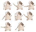 A set of a guinea pigs for a computer game