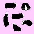 Set of guinea pigs