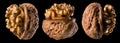 Set of half opened walnuts with kernel isolated on a black background Royalty Free Stock Photo