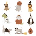 Set of Halloween dogs in mascarade costumes. Animal character designs in a cartoon style
