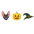 Set of Halloween mascots, black cat, witch hat and carved pumpkin named Jack O Lantern in Cartoon style, Halloween symbols on Royalty Free Stock Photo