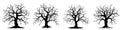 Set of halloween tree . Dead Branch from vector.Halloween tree by hand drawing.Black plant on white background AI Royalty Free Stock Photo