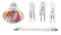 Set of halogen light bulbs Royalty Free Stock Photo