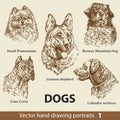 Set of hand drawing dogs 1 Royalty Free Stock Photo