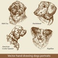 Set of hand drawing dogs Royalty Free Stock Photo