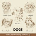 Set of hand drawing dogs 3 Royalty Free Stock Photo