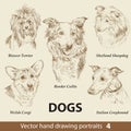 Set of hand drawing dogs 4 Royalty Free Stock Photo