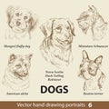 Set of hand drawing dogs 6 Royalty Free Stock Photo