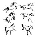 Set with hand-drawing graphic of a running horses Royalty Free Stock Photo