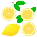 Set of hand drawing lemons Royalty Free Stock Photo