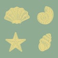 Set of hand drawing sea creatures shells and starfish Royalty Free Stock Photo