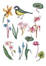 Set of watercolor floral elements with bird.