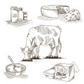 Set of hand drawings on Milk theme. Royalty Free Stock Photo