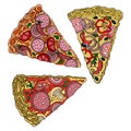 A set of hand-drawn assorted slices of pizza, with mushrooms, ham, herbs and vegetables. Design for the food industry, cafes