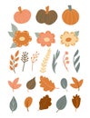 Set of hand drawn autumn elements in simple Scandinavian style. Pumpkin, fall flowers, herbs, branches, leaves. Cute design Royalty Free Stock Photo