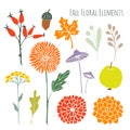 Set of hand drawn autumn fall floral graphic elements, isolated s Royalty Free Stock Photo