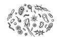 Set of hand drawn bacterias and microorganisms. Vector illustration in sketch style. Realistic microbiology scientific design