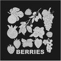 Berry set for use in product logos. Vector. Royalty Free Stock Photo