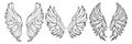 Set of hand drawn bird or angel wings Royalty Free Stock Photo
