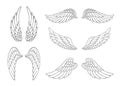 Set of hand drawn bird or angel wings of different shape in open position. Contoured doodle wings set