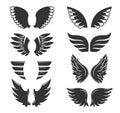 Set of hand drawn bird or angel wings of different shape in open position. Contoured doodle Royalty Free Stock Photo