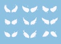 Set of hand drawn bird or angel wings  with light effect. Different shape in open position Royalty Free Stock Photo