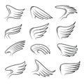 Set of hand drawn bird wings vector Royalty Free Stock Photo