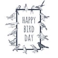 Set of hand drawn birds. Passerine. Royalty Free Stock Photo