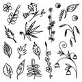 Set of hand drawn black doodle elements isolated on white background for coloring. Bird, spikelet, curl, leaf, flower, flower