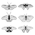 Set of hand drawn black outline butterflies on white background