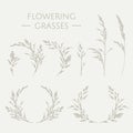 Set of hand-drawn blooming grasses. Grass wreaths