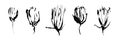 Set of hand drawn brush paint flowers painted by ink. Grunge style elements for design. Black isolated vector on white background Royalty Free Stock Photo