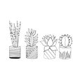 Set of hand drawn cacti in flower pots on white background. Royalty Free Stock Photo