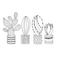 Set of hand drawn cacti in flower pots on white background lineart. Royalty Free Stock Photo