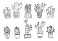 Set of hand drawn cactus plants in pots