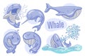 Set of hand drawn cartoon whales. Sea life illustration. Vector