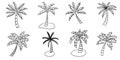 Set of hand drawn coconut tree Isolated on white background. vector illustration Royalty Free Stock Photo