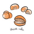 Set of hand drawn and colored bread rolls