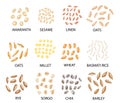 Set of hand drawn colored cereal grains. Vector illustration