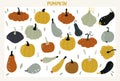 Set with hand drawn colorful doodle pumpkins. Sketch style large vector collection. Set of flat icons. Elements for autumn Royalty Free Stock Photo