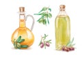 Set of hand drawn colorful watercolor olive oil painting isolated on white background Royalty Free Stock Photo