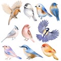 Set of hand drawn cute birds