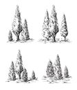 Set of hand-drawn cypress.